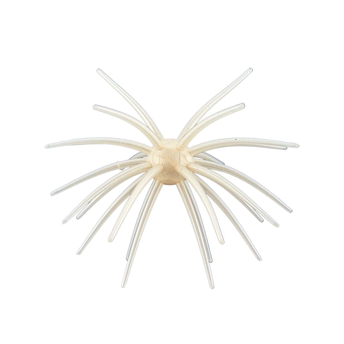 2K Urchin Star