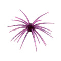 2K Urchin Star