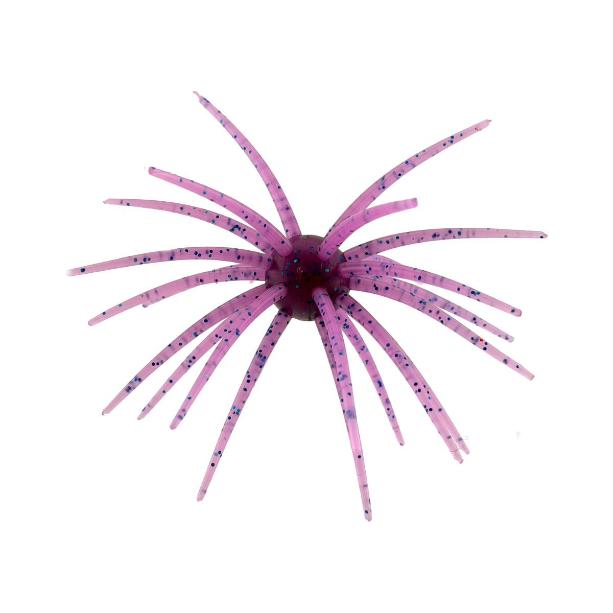 2K Urchin Star
