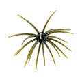 2K Urchin Star 25mm/20mm/15mm