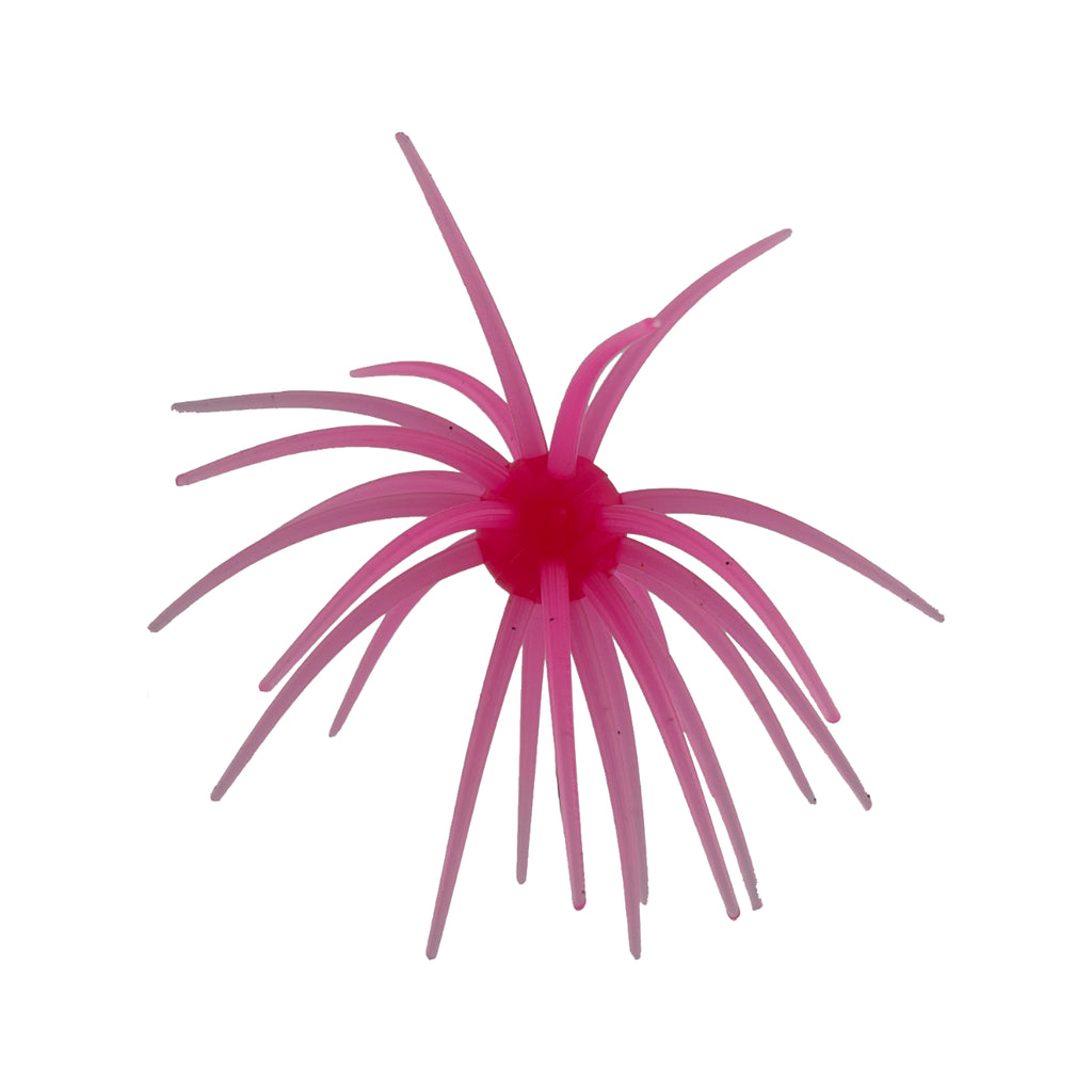 2K Urchin Star