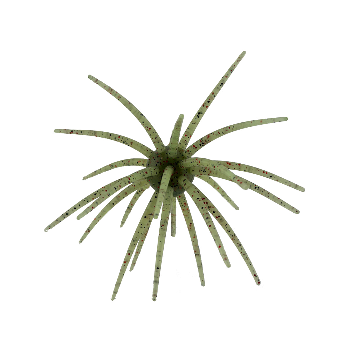 2K Urchin Star