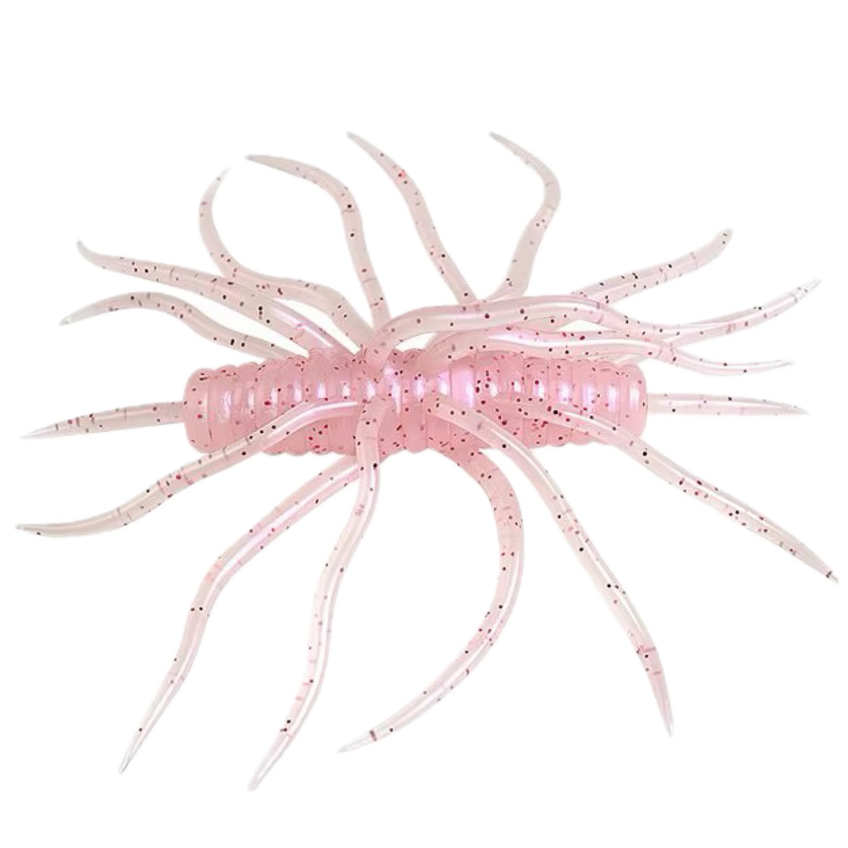 2k Urchin Star Worm