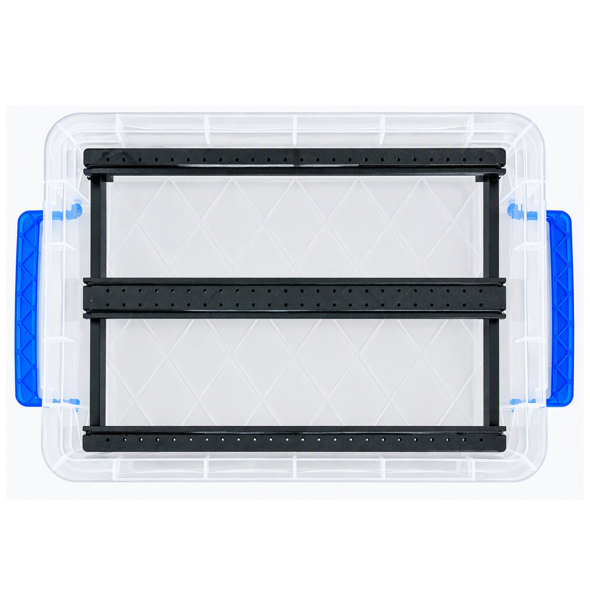 2k Urchin Star Storage Box