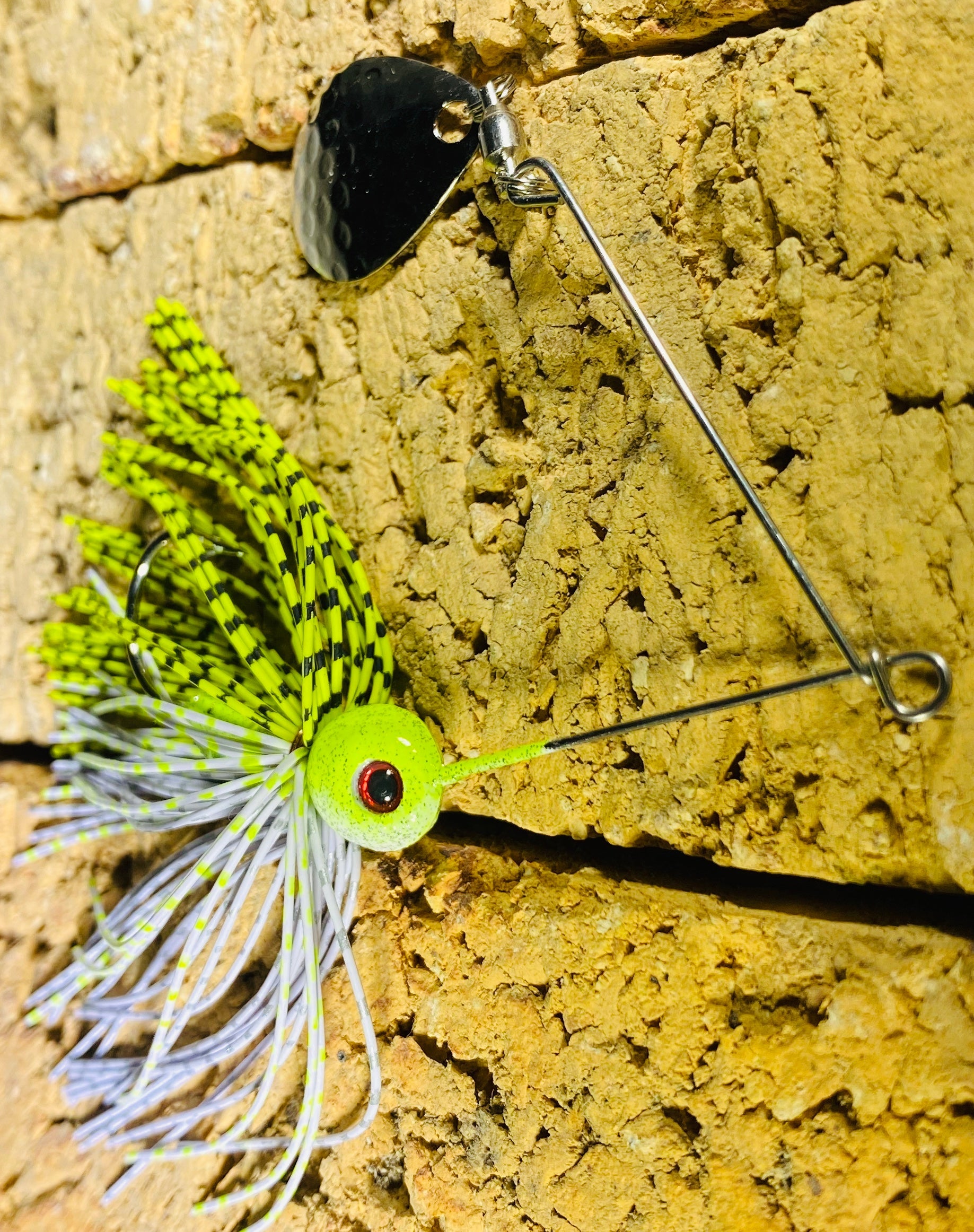 Pond Bug Spin
